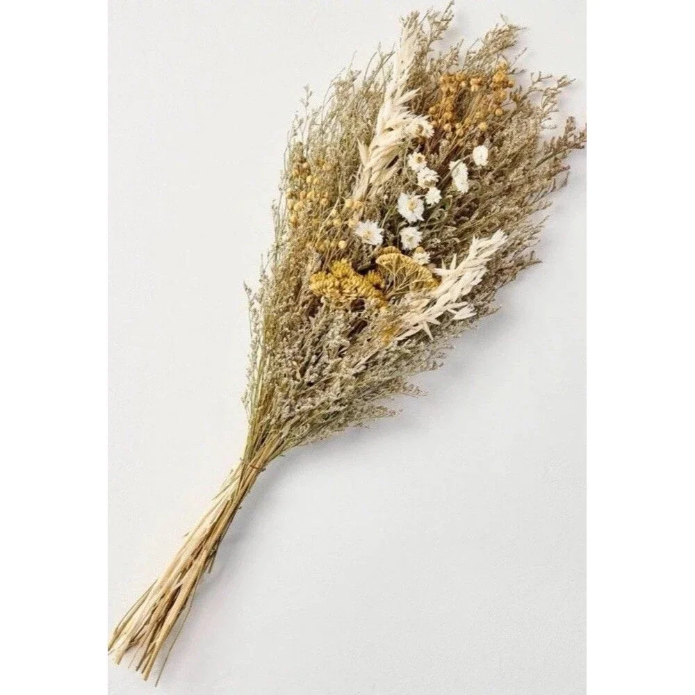 Hearth & Hand with Magnolia Preserved Flower & Grass Bundle 25” Tall (Set of 2)